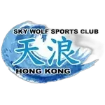 شعار City Linkers Sky Wolf