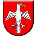 شعار TJ Družstevník Čičarovce