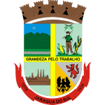 شعار Jaraguaense U17