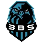 شعار 3BS