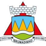 شعار Seleção de Brumadinho U13