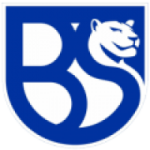شعار Union Brescia U17