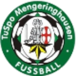 شعار JSG Twistesee