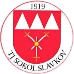شعار TJ Sokol Slavkov