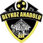 شعار Beykoz Anadolu Spor U19