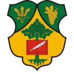 شعار Gyönki SE