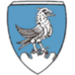 شعار VfL Denklingen