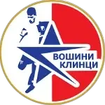 شعار FK Vošini Klinci U17