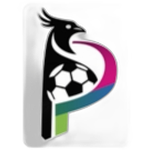 شعار Palladio FC