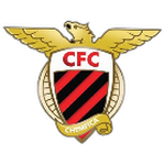 شعار Newcastle Chemfica