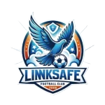 شعار Jinan Linksafe