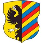 شعار Legion Nesvizh