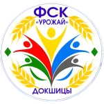 شعار FSK Dokshytsy