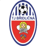 شعار TJ Břidličná B