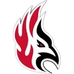 شعار Carthage Firebirds