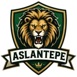 شعار Aslantepe SK