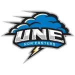 شعار New England Nor'easters