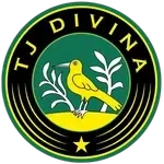 شعار Tj Divina