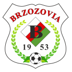 شعار Brzozovia MOSiR Brzozów