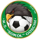 شعار Sokół Gościm