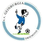 شعار SV Geinburgia