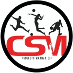 شعار CSM Sighetu Marmației II