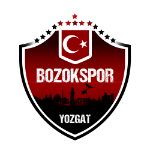 شعار Yozgat Belediye Bozokspor U19