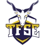 شعار Tfse Tent Budapest