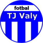 شعار TJ Valy