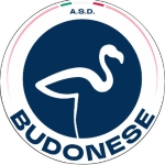 شعار Budonese