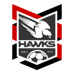 Holland Park Hawks