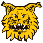 Ilves