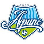 شعار Afips 2 Afipskiy