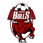 Banyule City SC شعار Banyule City SC