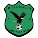 شعار Super Eagles