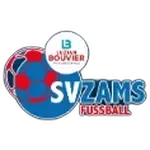 شعار SV Zams
