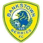 شعار Bankstown Berries U20