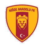 Niğde Anadolu FK