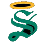 شعار Santos Laguna Premier