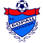 شعار Borac Pajsijević
