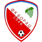 شعار FK Borac Vizić