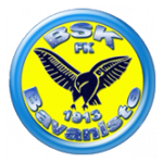 شعار FK BSK Bavanište