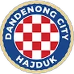 شعار Dandenong City SC U23