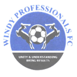 شعار Windy Professionals