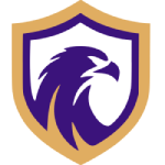 Falcon-SE U20 شعار Falcon-SE U20