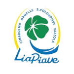 شعار ASD Liapiave