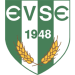 شعار Enying VSE