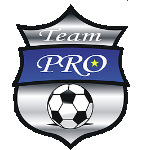 شعار ACS Pro Team București