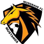 شعار Musgrave FC
