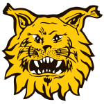 شعار Ilves/3
